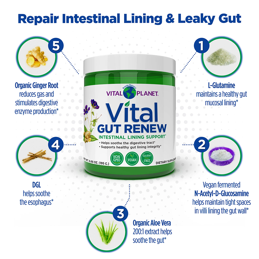 Vital Planet Vital GUT RENEW