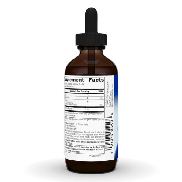 Planetary Herbals Elderberry Syrup - Image 4