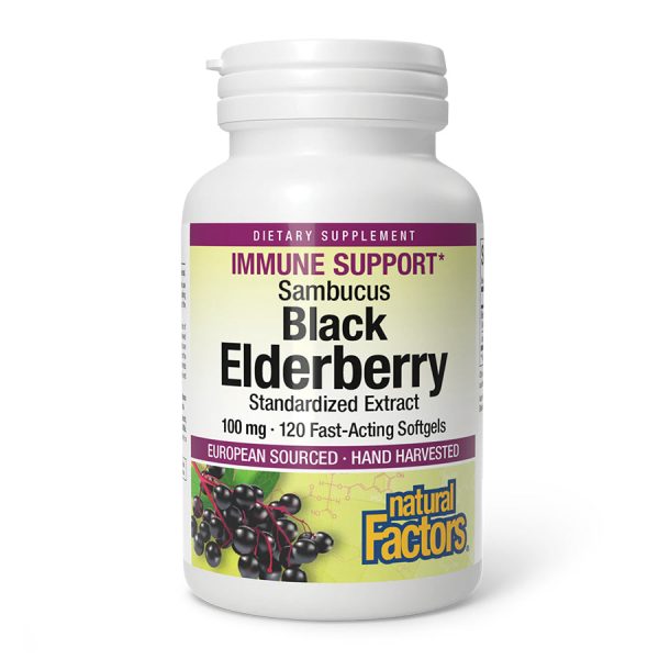 Natural Factors Sambucus Black Elderberry - Image 4