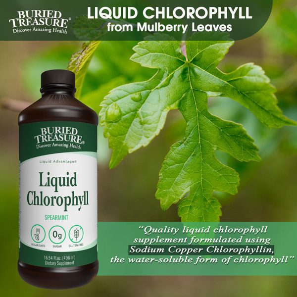 Buried Treasure Liquid Chlorophyll - Image 4