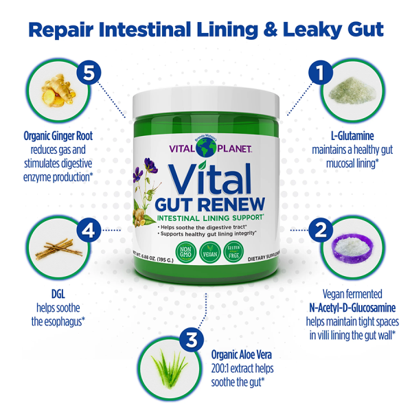 Vital Planet Vital GUT RENEW - Image 3